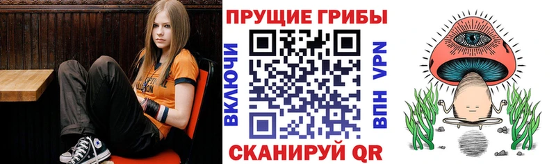 Галлюциногенные грибы Magic Shrooms мега зеркало Вичуга купить