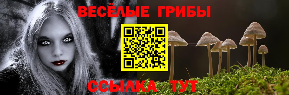 купить закладку  Галлюциногенные грибы MAGIC MUSHROOMS  Вход с VPN  Вичуга 